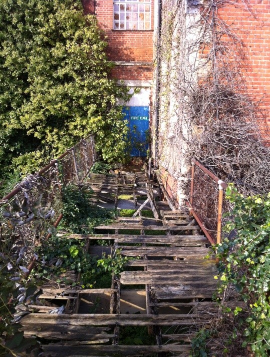 Springfieldpics2014 009